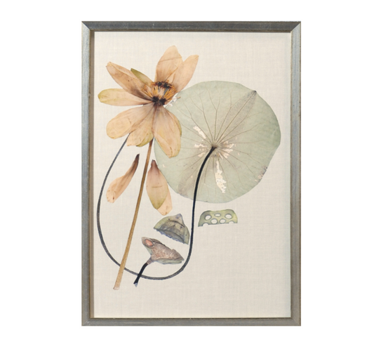 Herbarium Pressings Series